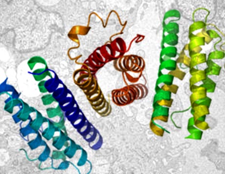 Stosowanie granulocytowych czynników wzrostu w praktyce klinicznej