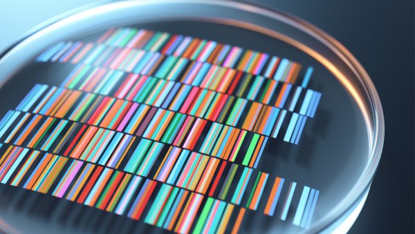 Genetyk: gdy w rodzinie występują nowotwory - warto zbadać swój DNA