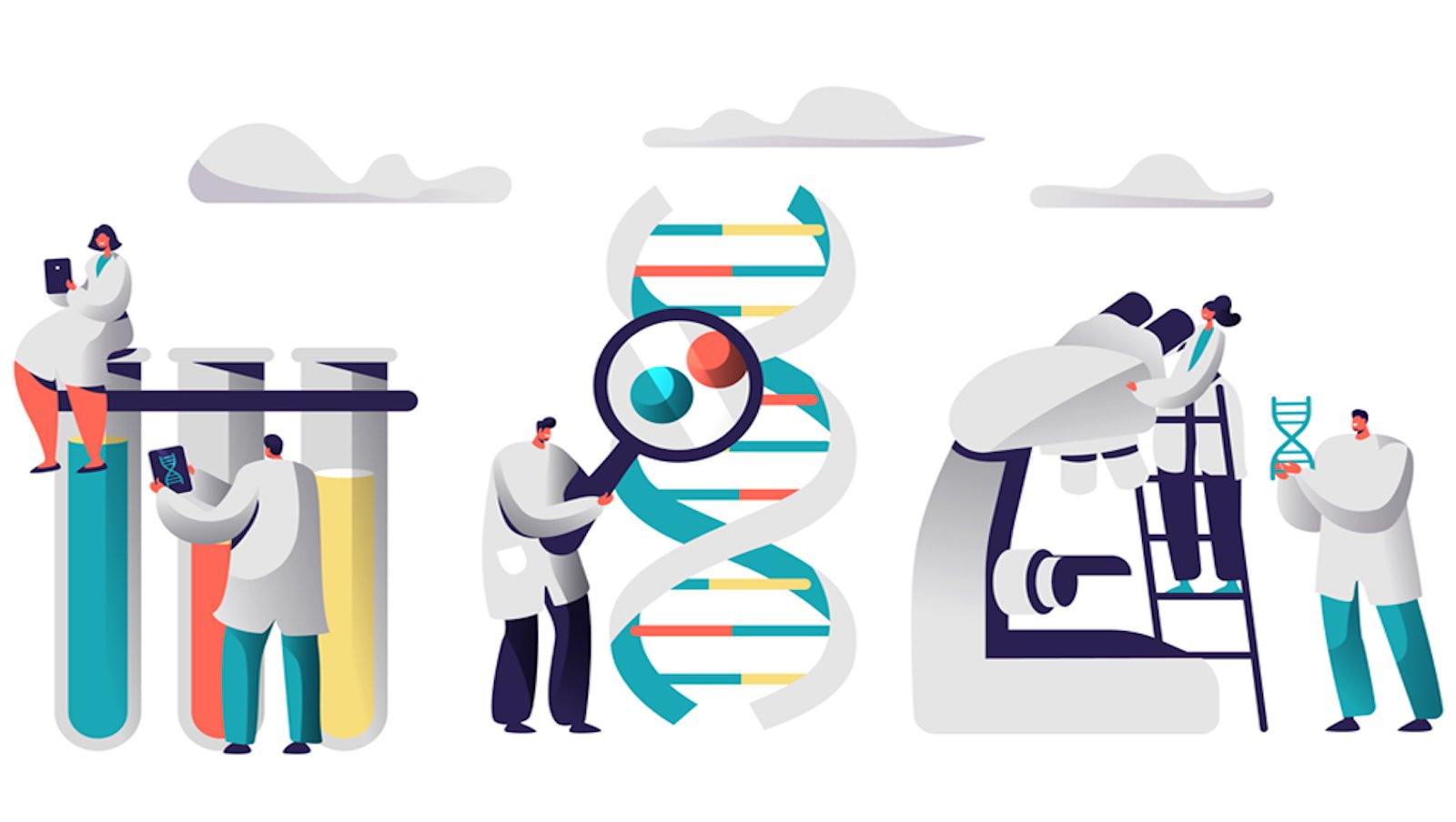 Terapia komórkami CAR-T w szpiczaku plazmocytowym