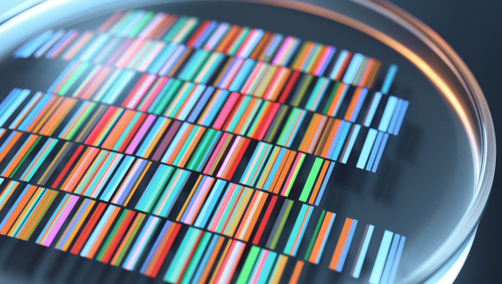 25 kwietnia obchodzimy Międzynarodowy Dzień DNA