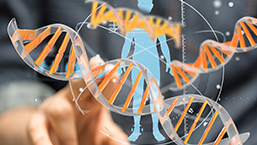 Gliwice | Powstaje innowacyjny system do diagnostyki nowotworów