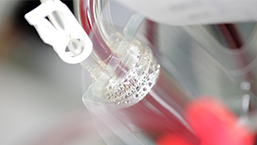 Hapoloidentyczne przeszczepy szpiku - alternatywa leczenia dla chorych z nowotworami układu krwiotwórczego?