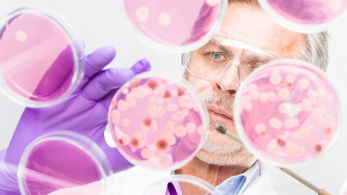 Skuteczność leczenia podtrzymującego blinatumomabem w ALL i LL po allogenicznej...