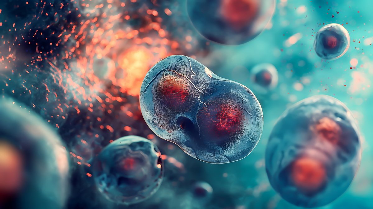 Przeszczepienia od dawcy alternatywnego w ciężkiej postaci anemii aplastycznej – badanie porównawcze SAAWP EBMT