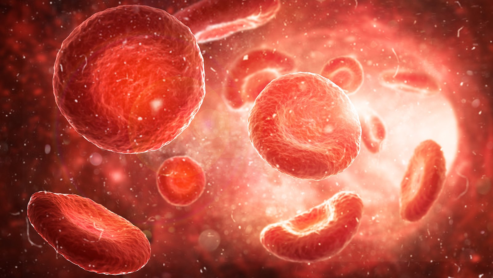 Zastosowanie Haemate P u pacjentów z chorobą von Willebranda oraz w indukcji immunotolerancji u chorych na hemofilię A powikłaną inhibitorem