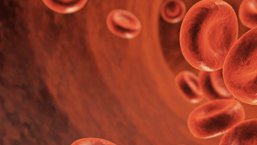 Hemofilia C – korelacja fenotypu skazy z aktywnością czynnika XI krzepnięcia