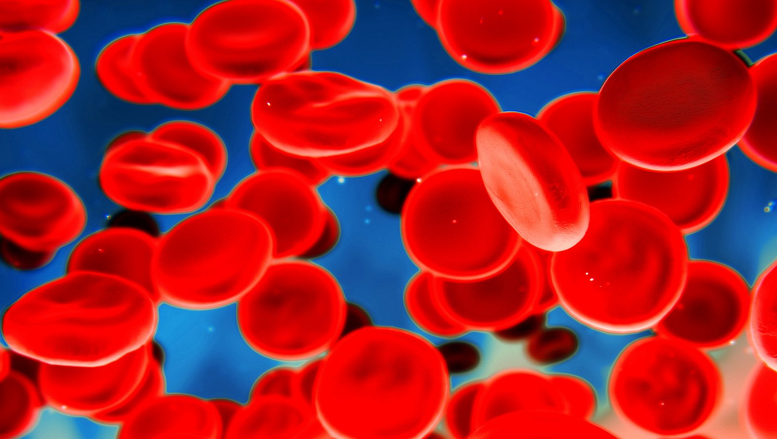 Światowy Dzień Chorych na Hemofilię | 17 kwietnia