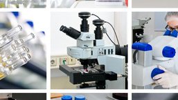Inhibitor BLC2 – venetoclax – w leczeniu nawrotowej PBL
