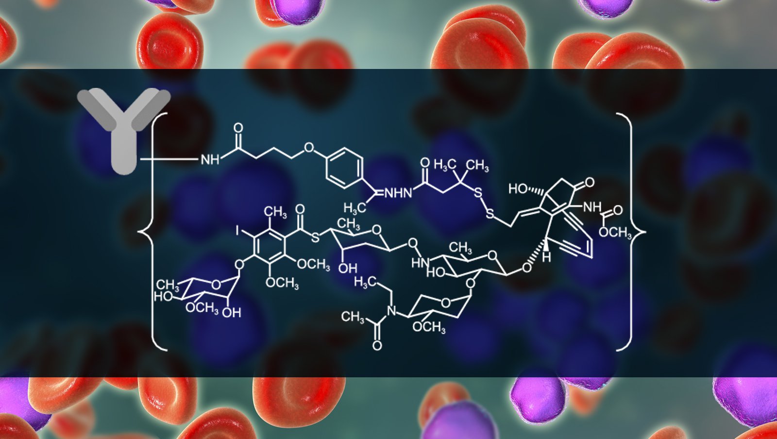 Inotuzumab ozogamycin - nowa nadzieja – spojrzenie transplantologa