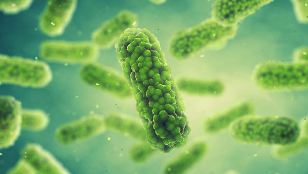 Jak postępować z infekcjami w szpiczaku plazmocytowym w erze nowych terapii - rekomendacje panelu ekspertów