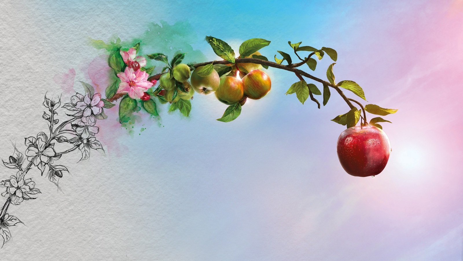 Nowy kalkulator dawki leku Reblozyl w terapii pacjenta z nowotworem mielodysplastycznym