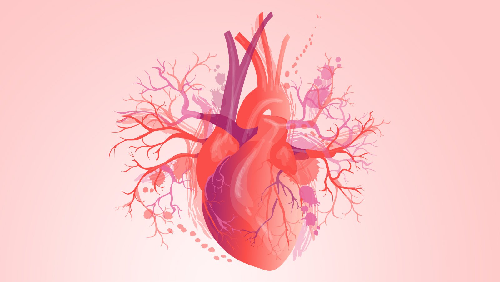 Kardiotoksyczność wolnych lekkich łańcuchów immunoglobulinowych w surowicy w amyloidozie...