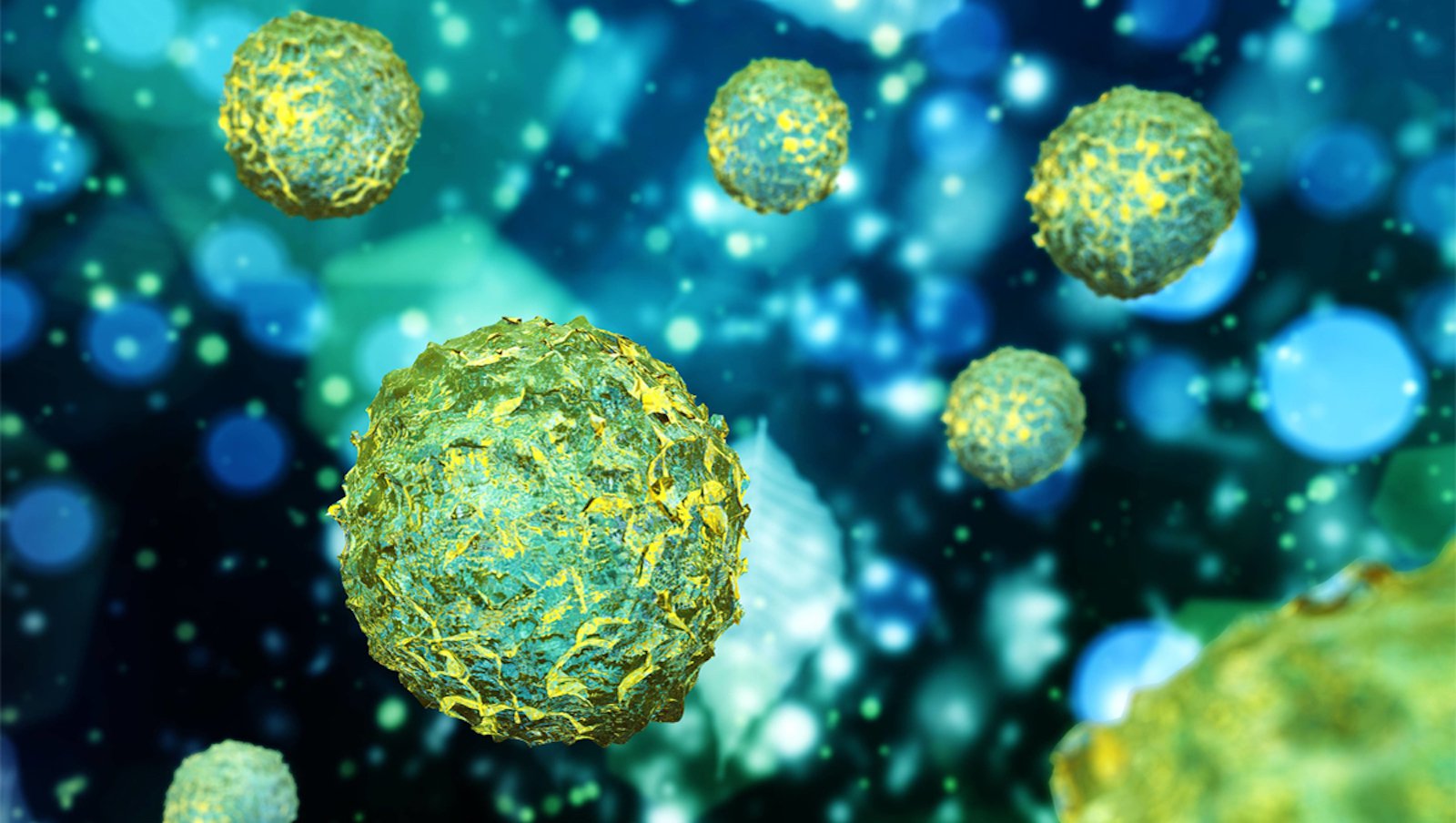 Eltrombopag w leczeniu opornych cytopenii po przeszczepieniu allogenicznych krwiotwórczych komórek macierzystych