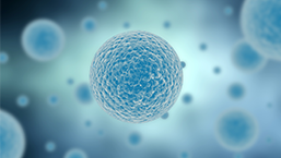 Komórkę białaczkową zaprogramować na śmierć