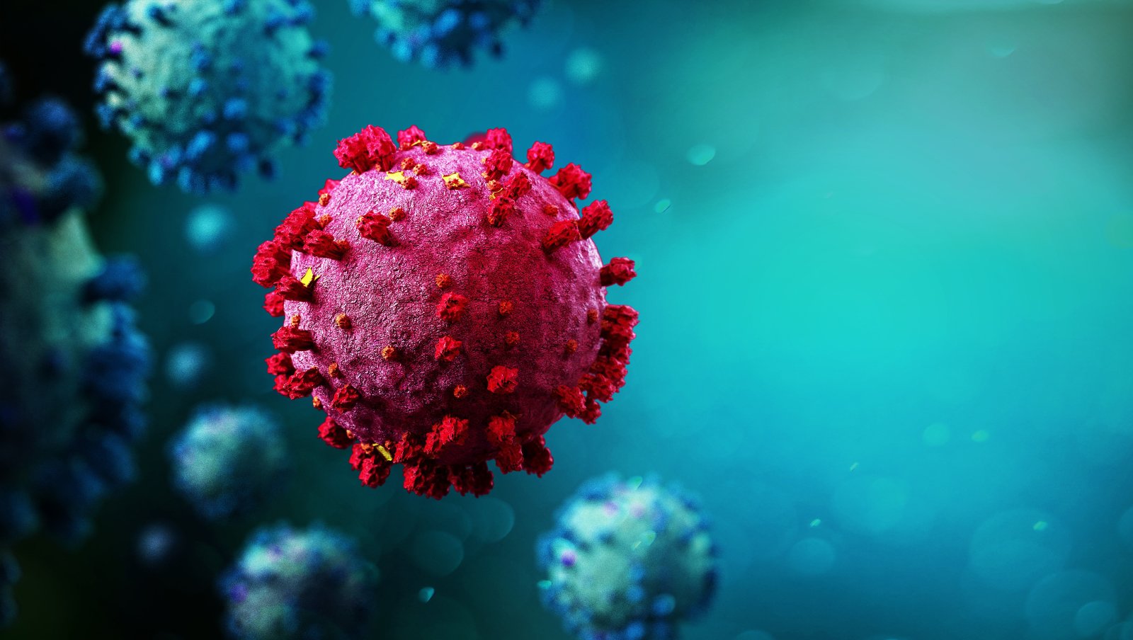 Pacjenci immunoniekompetentni a COVID-19