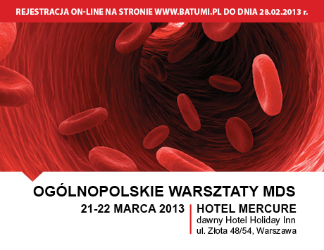 Ogólnopolskie Warsztaty MDS, 21-22 marca 2013, Warszawa
