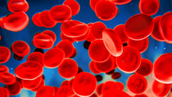 Leczenie drugiej linii dorosłych chorych na pierwotną małopłytkowość immunologiczną