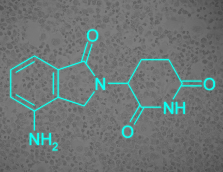 Molekularny mechanizm działania lenalidomidu na komórki ABC-DLBCL