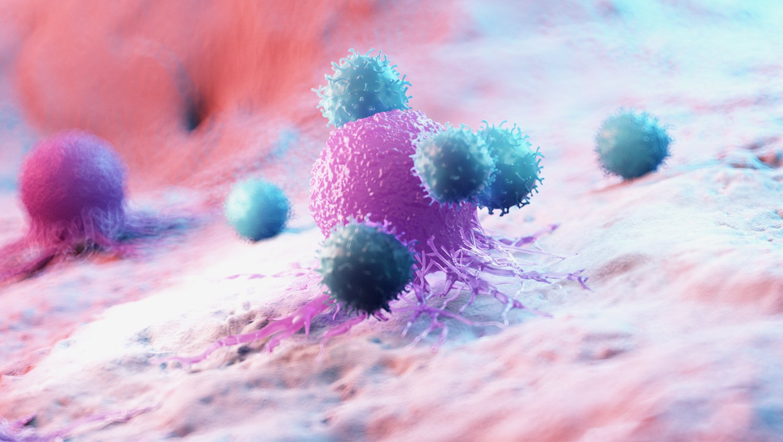 Przetaczanie koncentratu limfocytarnego