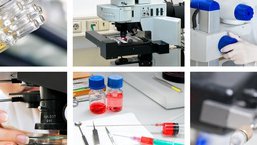 Małopłytkowość w przebiegu pospolitego zmiennego niedoboru odporności – obraz kliniczny...