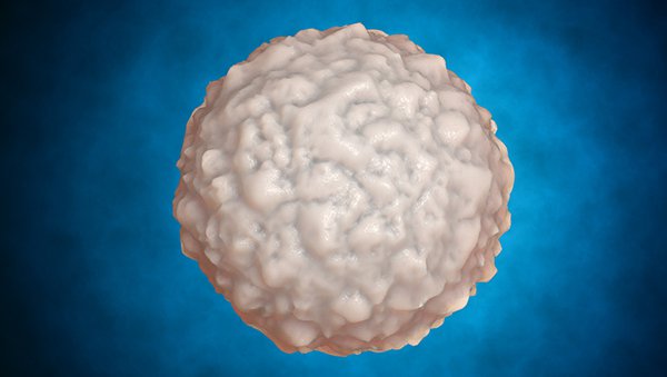 Mechanistyczne metody prewencji i leczenia przewlekłej GvHD