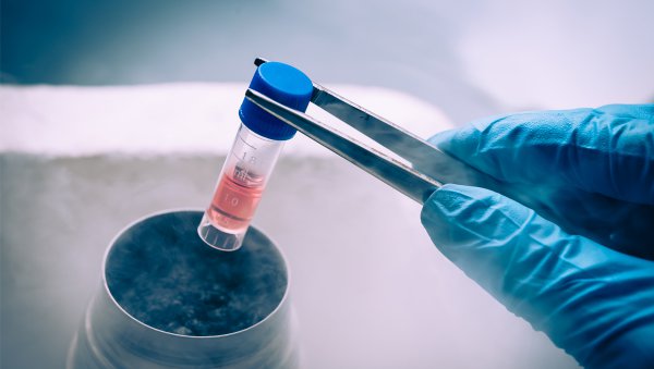 Medycyna coraz bliżej szerszego wykorzystania komórek macierzystych z krwi pępowinowej. Mogą ratować życie nie tylko chorych na nowotwory, lecz także na cukrzycę czy porażenie mózgowe