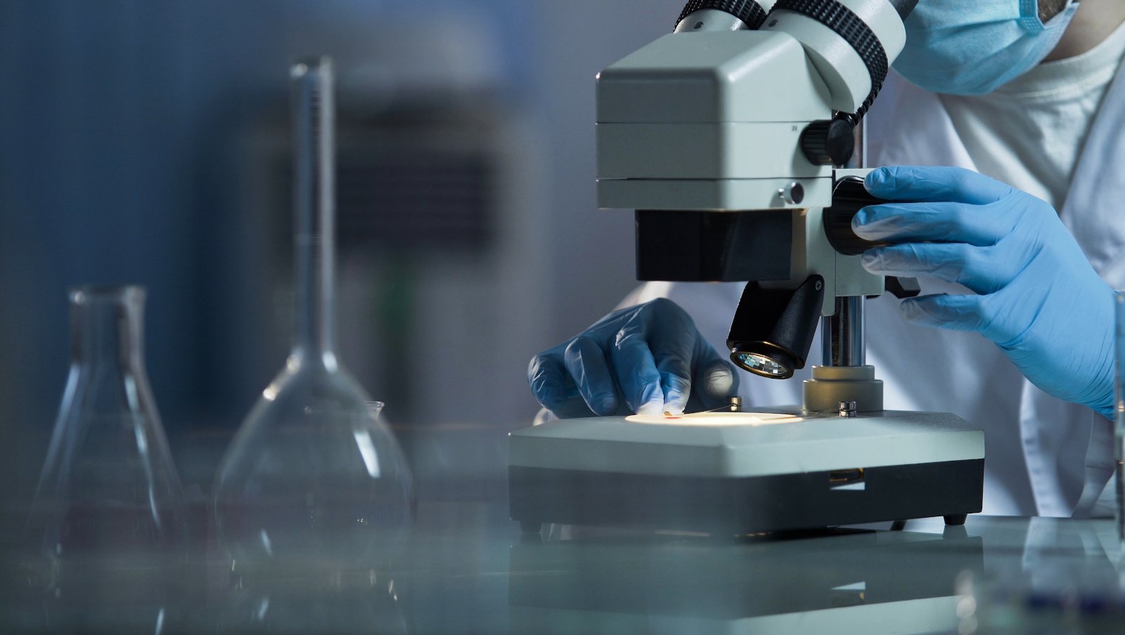 Czy wysokie dawki melfalanu w szpiczaku plazmocytowym mogą być związane ze zwiększonymi...