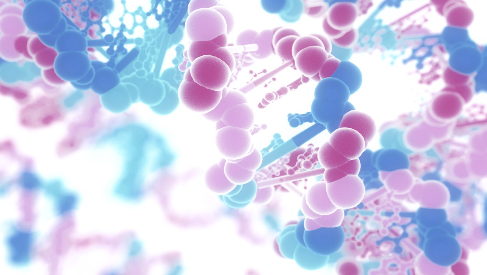 Diagnostyka i leczenie zespołów mielodysplastycznych niższego ryzyka