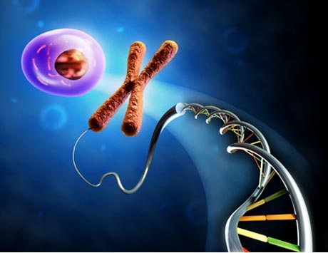 Poziom stresu oksydacyjnego u pacjentów z zespołami mielodysplastycznymi: jego związek z poziomem ferrytyny w surowicy i stężeniem hemoglobiny