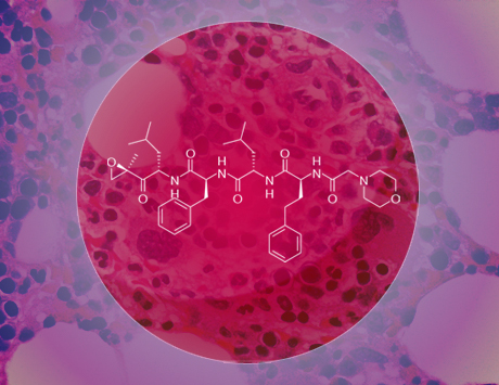 Kyprolis (Carfilzomibe)