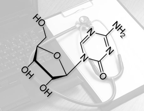 Wpływ azacytydyny i chemioterapii na przebieg kliniczny allotransplantacji komórek krwiotwórczych u chorych na zespoły mielodysplastyczne