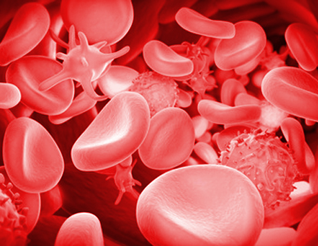 Utrzymywanie hematokrytu poniżej 45% istotnie zmniejsza częstość incydentów sercowo-naczyniowych u chorych z czerwienicą prawdziwą