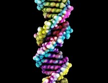 mikroRNA w chłoniakach B-komórkowych: aktualny stan wiedzy