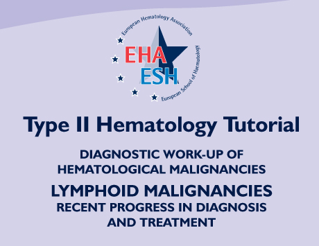 Diagnostic Work-Up of Hematological Malignancies, 16-18 listopada 2012, Łódź