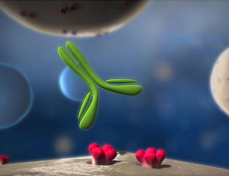 Rozszerzenie wskazań dla rytuksymabu w leczeniu podtrzymującym chłoniaków grudkowych to według aktualnej wiedzy leczenie optymalne