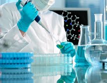 Receptorowa kinaza tyrozynowa IGFR1 - potencjalny cel terapii w CLL