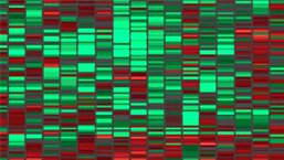 Nivolumab przywraca skuteczną odpowiedź antynowotworową u chorych na HL - doniesienia z EHA 2016