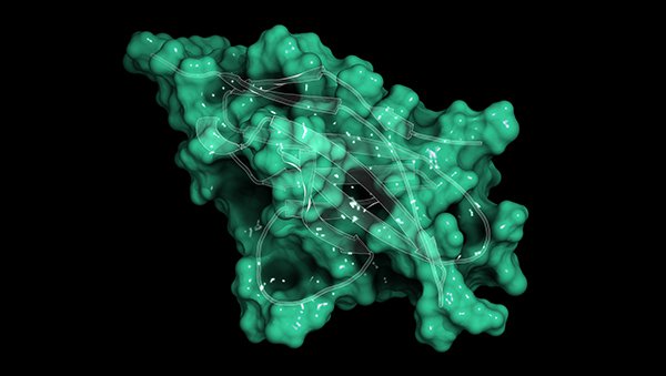 Niwolumab w terapii klasycznego nawrotowego/opornego HL