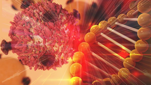 Obiecująca efektywność immunoterapii w leczeniu chłoniaka Hodgkina - wyniki badań polskich naukowców