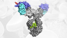 Obiecujące ulepszenie dobrego. Nowy lek w terapii przewlekłej białaczki limfocytowej (Pbl)