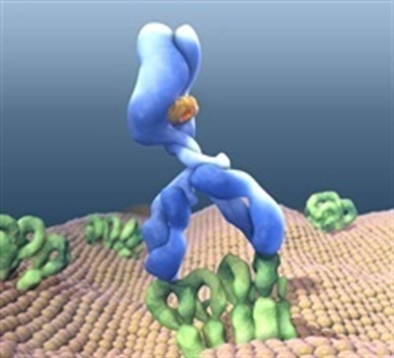 obinutuzumab