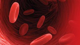 Ogólnopolskie Warsztaty MDS, 10-11 marca 2016, Warszawa