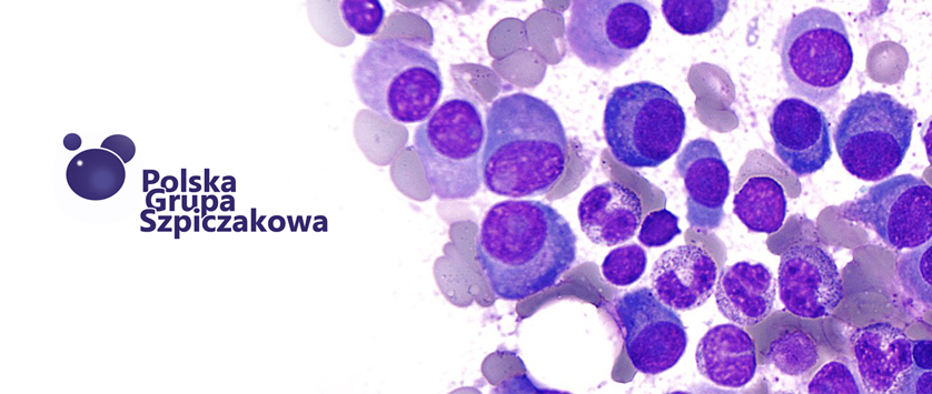 Panel cytogenetyczny - spotkanie PGSz 9 stycznia 2015 Warszawa