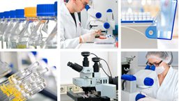 Perspektywy i rekomendacje Międzynarodowej Grupy Roboczej MDS/MPN w patogenezie, diagnostyce i przebiegu klinicznym u chorych na nowotwory mielodysplastyczne/mieloproliferacyjne