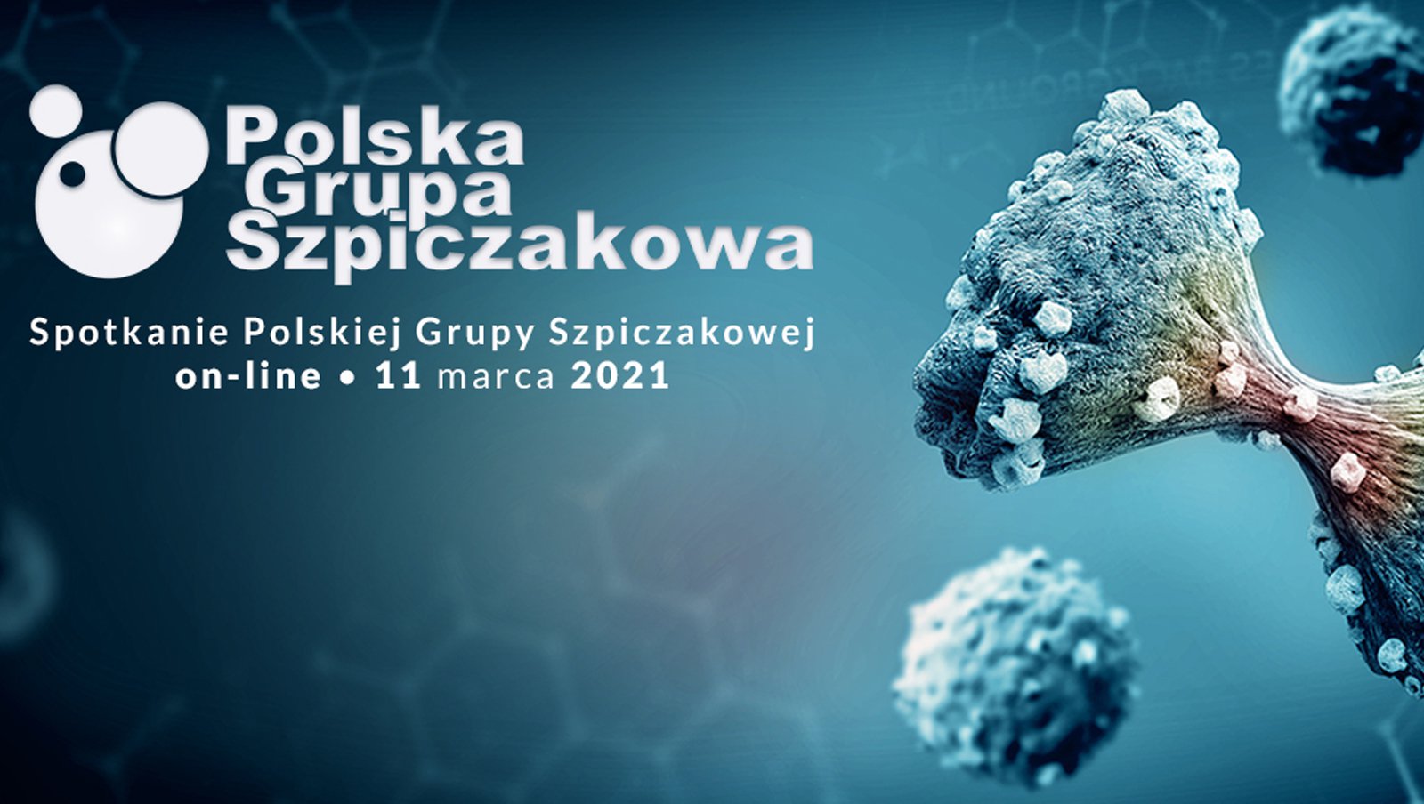 Spotkanie Polskiej Grupy Szpiczakowej |11 marca 2021 r., godz. 17:00
