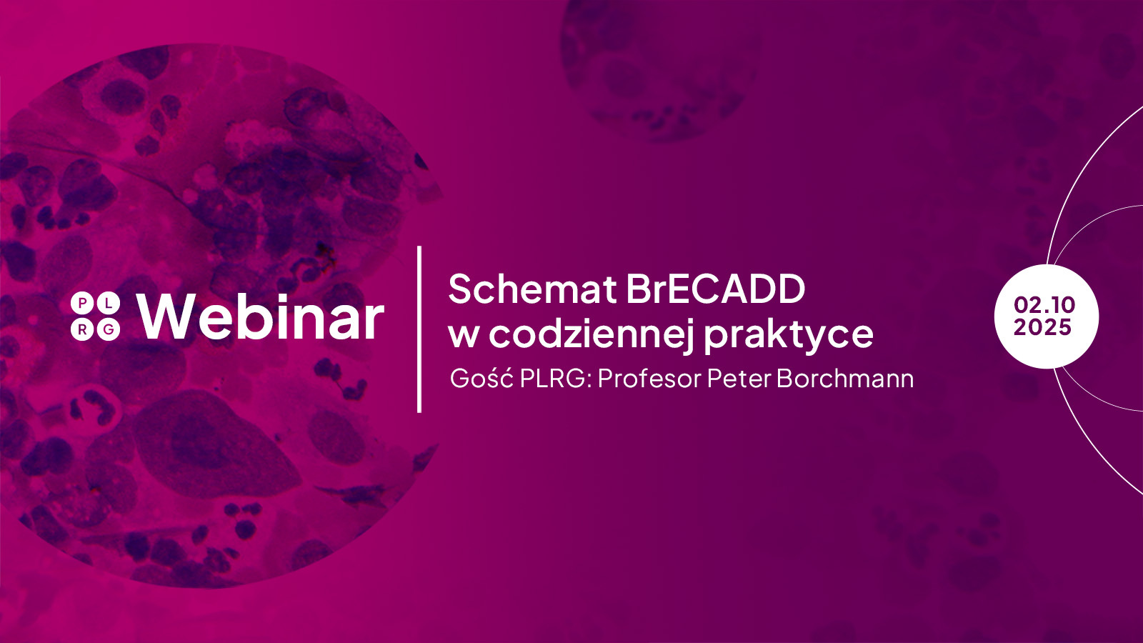 BrECADD w praktyce – webinar z prof. Peterem Borchmannem