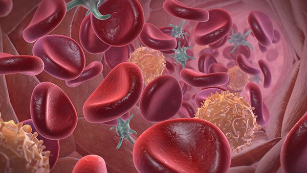 Pobranie autologicznych krwiotwórczych komórek macierzystych - żyła obwodowa czy dostęp centralny?