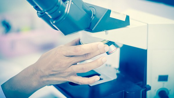 Ponad 270 mln zł na badania naukowe w Polsce od FNP