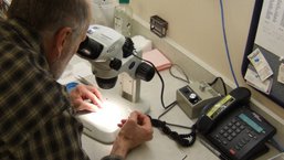 Poprawa przeżycia po transplantacji alogenicznych komórek krwiotwórczych u chorych na ostre białaczki szpikowe w okresie remisji po kondycjonowaniu FluBu4 w porównaniu do FluBu2