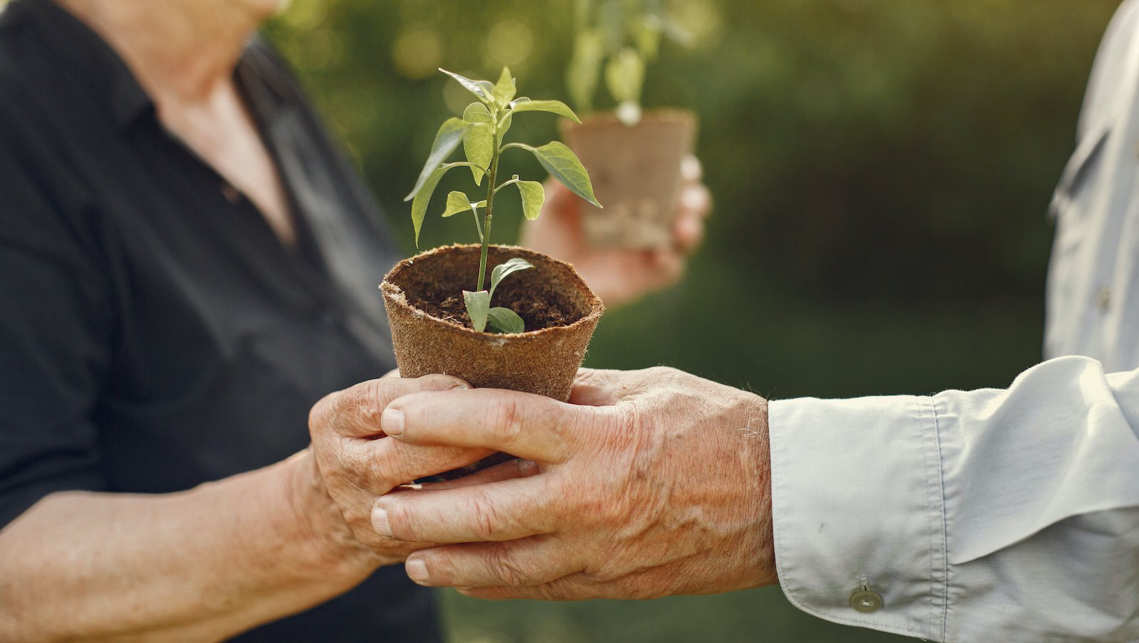 Życie osób ze szpiczakiem w wieku produkcyjnym | Projekt badawczy